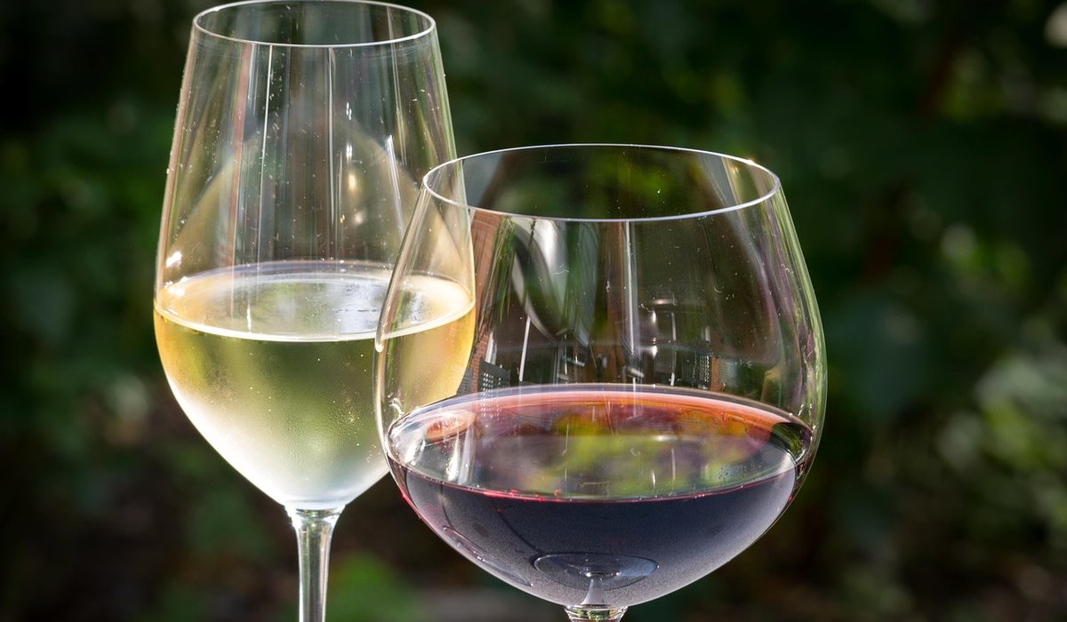 Simple Ways to Store Open Wine Without Losing Flavour